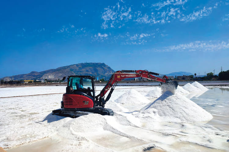 Miniexcavadora Yanmar en Salina Culcasi