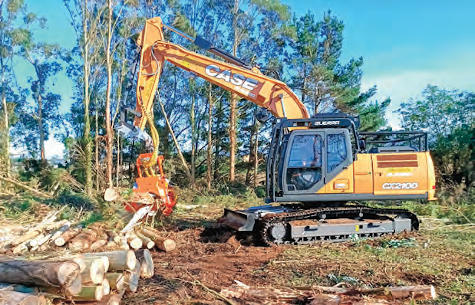 CX210D de la empresa española Maderas Marcos, con un segador forestal